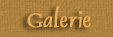 Galerie Shimmerlee
